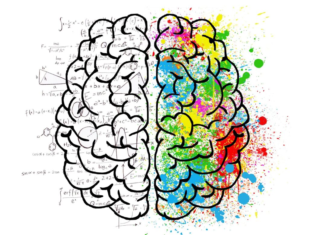brain-g07fd7570b_1920