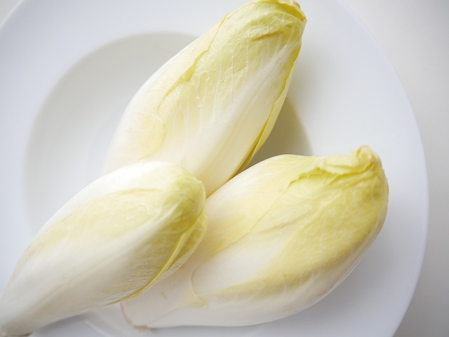 chicory-4045212_640